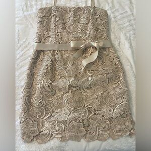 Adrianna Papell Champagne Lace Cocktail Dress